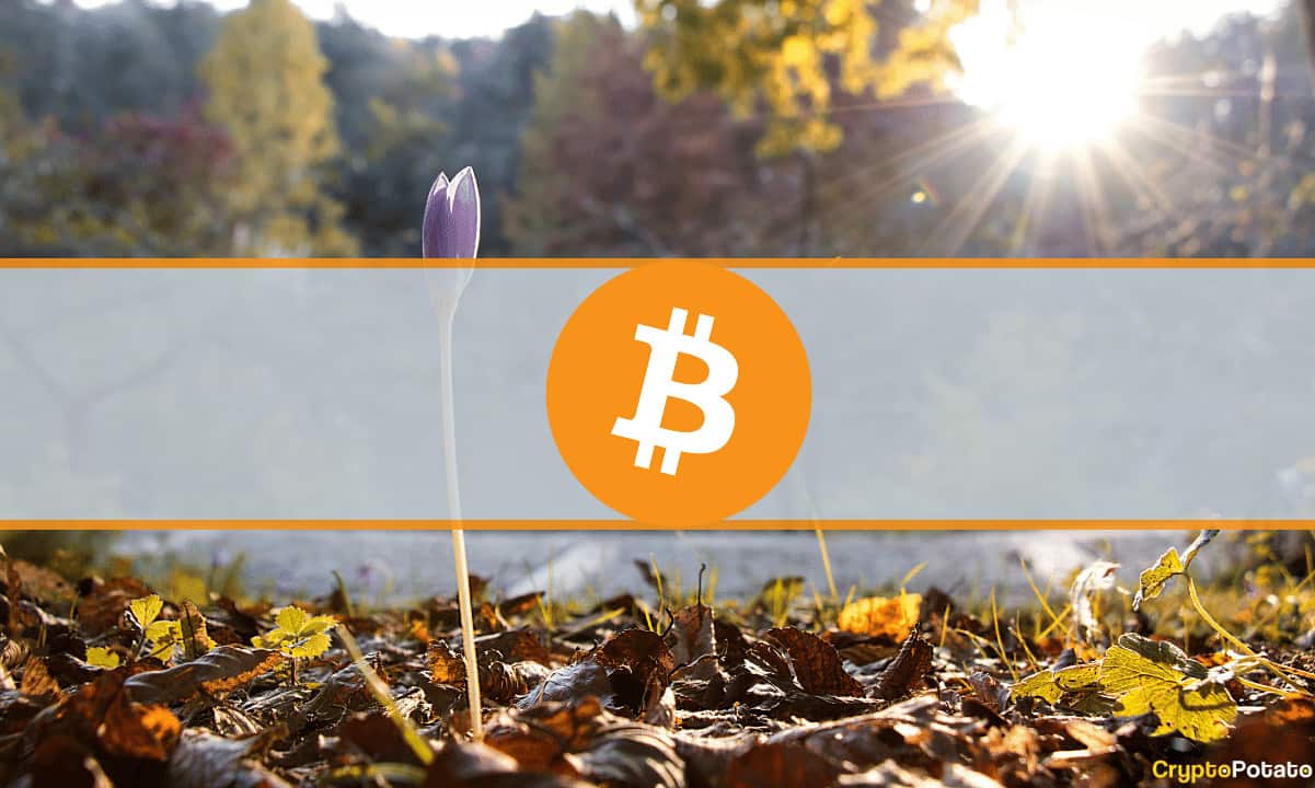 2 Years Since the March 2020 Black Thursday Crash: What Changed for Bitcoin?