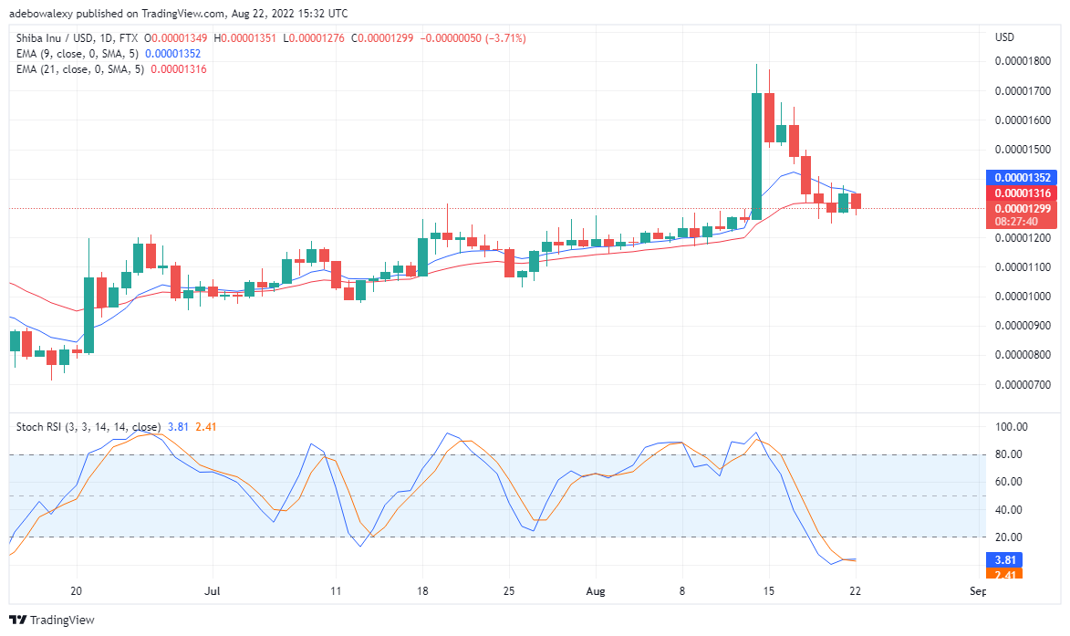 SHIB Rebounds Downwards, TAMA Has a Bullish Basis