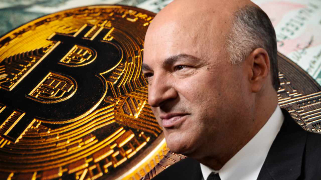 Shark Tank Star Kevin O'Leary Buys the Bitcoin Dip — Says Crypto 'Desperately Needs Policy'
