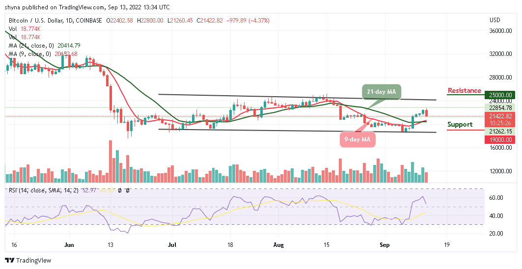 BTC Couldn’t Hit $23,000 Resistance as Buyers Strongly Prefer TAMA