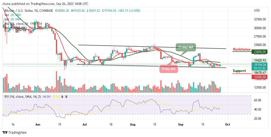 BTC Fights for $19K, TAMA Keeps Trending