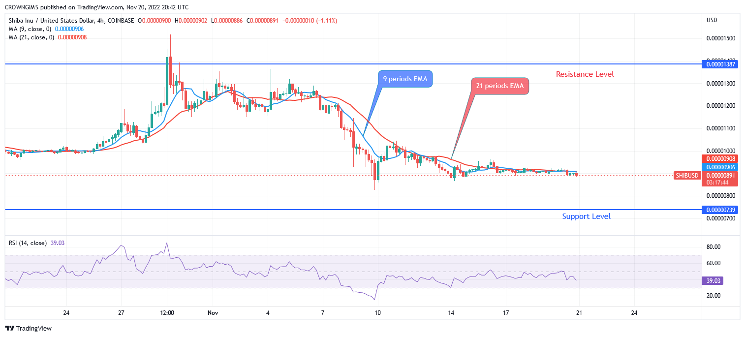 Shiba Inu Price Prediction for Today, 20 November: SHIB May Test June Low