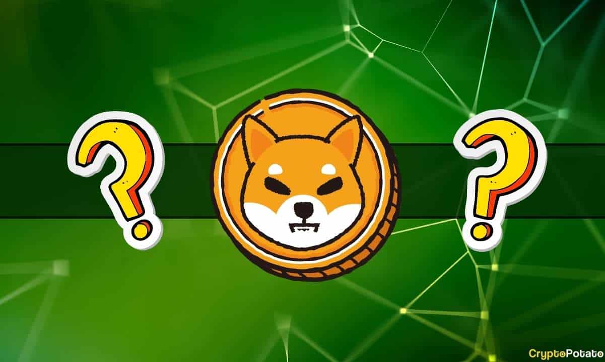 Will SHIB's Price Explode as Shiba Inu Prepares for Shibarium's Public Launch?