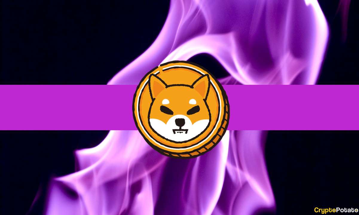 Shiba Inu Burn Rate Explodes 1,300%, What Does it Mean for SHIB's Price?