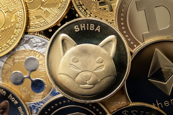 SHIB token burn fails to inspire major price move; is GFOX stealing SHIB's thunder?