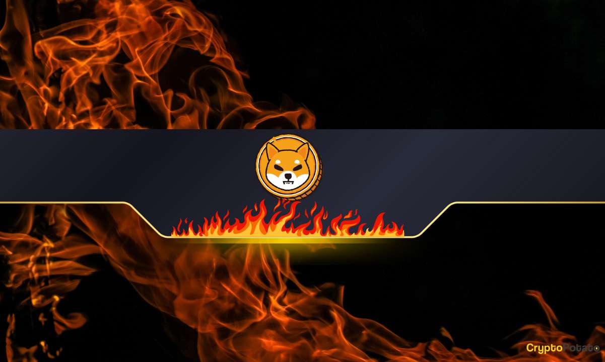 Shiba Inu (SHIB) Burn Rate Explodes by 500%