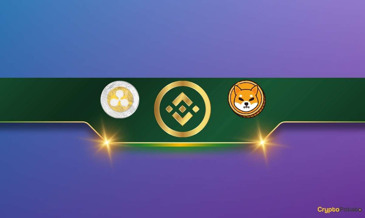 Here's How Much Shiba Inu (SHIB) and Ripple (XRP) Binance Currently Holds